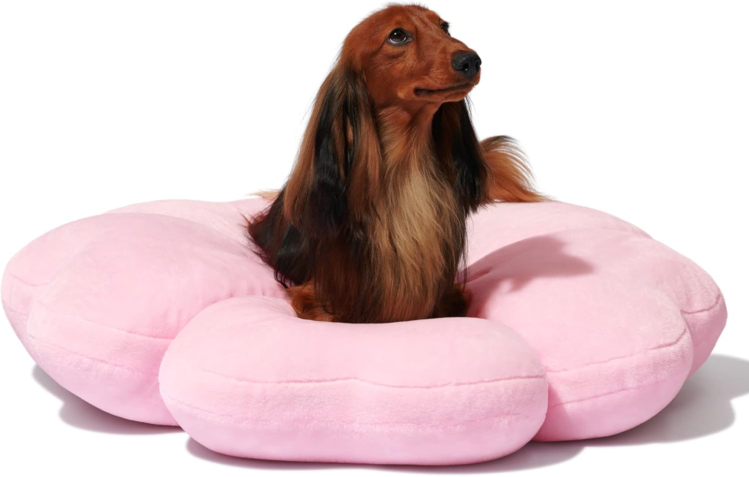 VETRESKA Dog Beds for Small Dogs