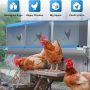 Kinchoix Chicken Nesting Box for Laying Eggs