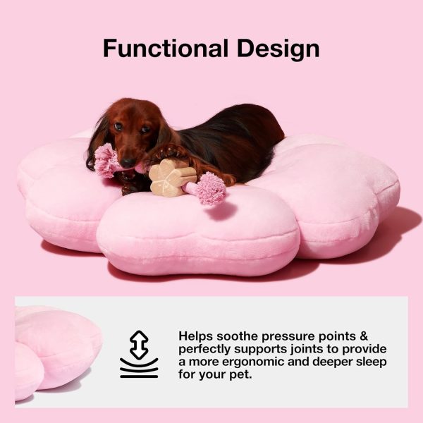 VETRESKA Dog Beds for Small Dogs