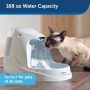 PetSafe Drinkwell Platinum Water Fountain for Pets