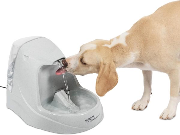 PetSafe Drinkwell Platinum Water Fountain for Pets